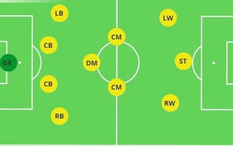 Trong sơ đồ 4-3-3, CDM đóng vai trò là đỉnh dưới của hàng tiền vệ, tấm lá chắn trực tiếp bảo vệ bộ đôi trung vệ phía sau.