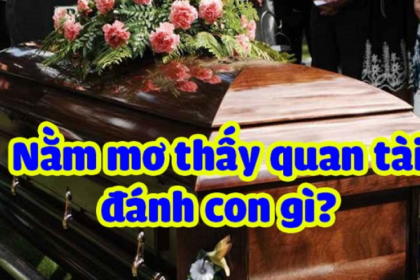 Quan tài trong giấc mơ thường mang thông điệp về sự tái sinh và những cơ hội mới.