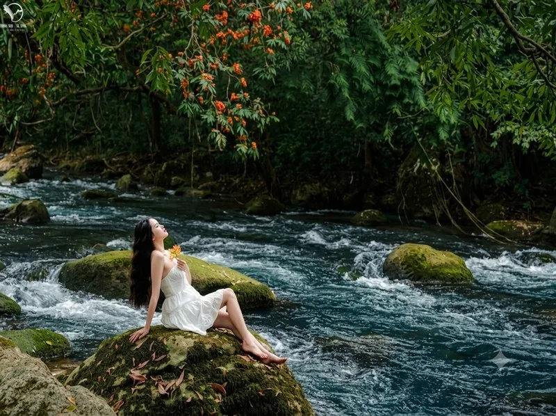 Du khách có thể đi thuyền sông Son, trekking, chèo kayak và khám phá thiên nhiên Phong Nha.
